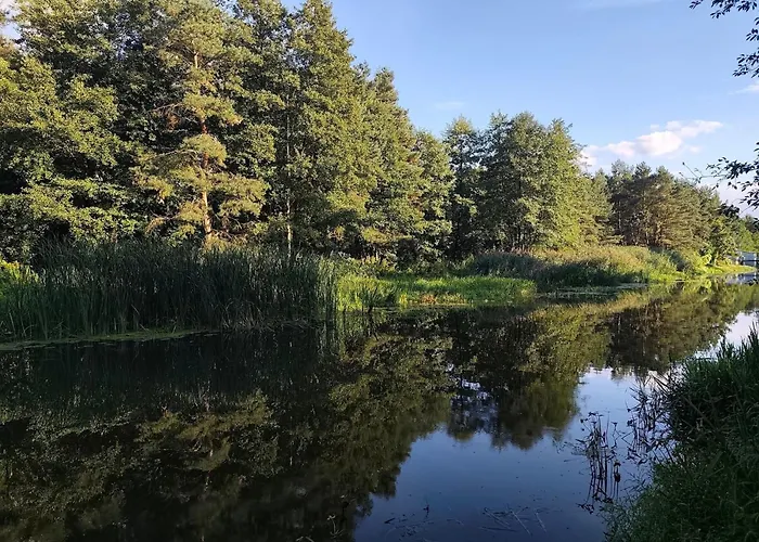 Przy Przystani Daire Milicz